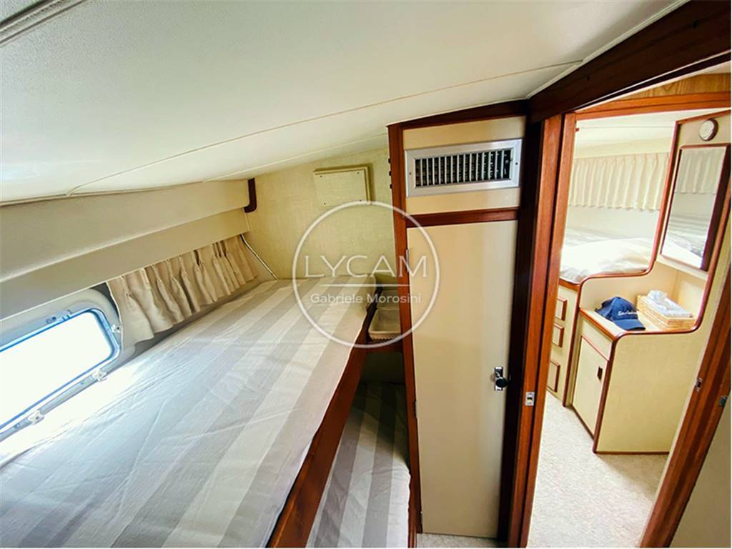 Bertram 38