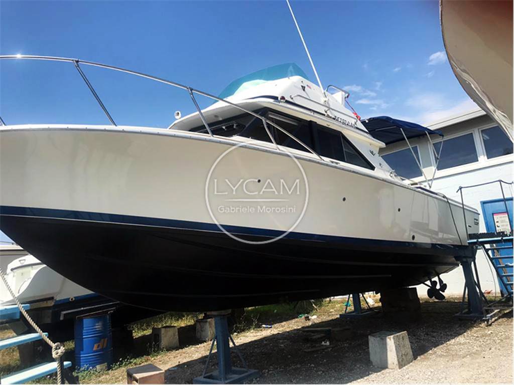 Bertram 28 Fly