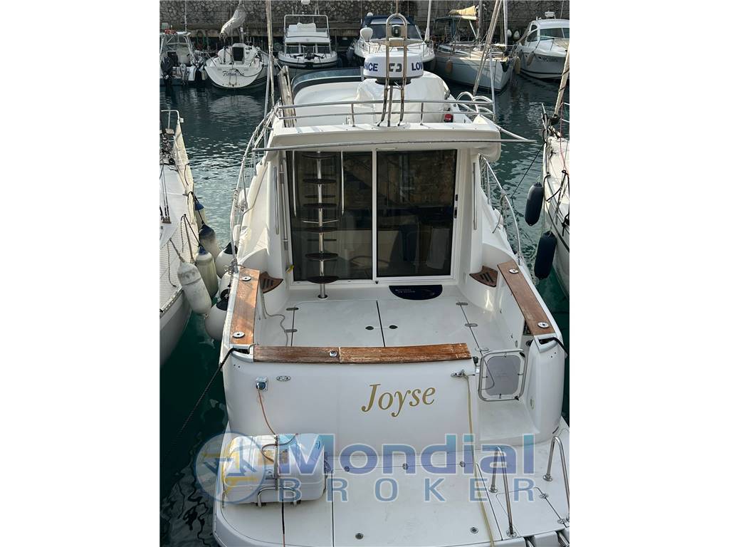 Sessa Dorado 36