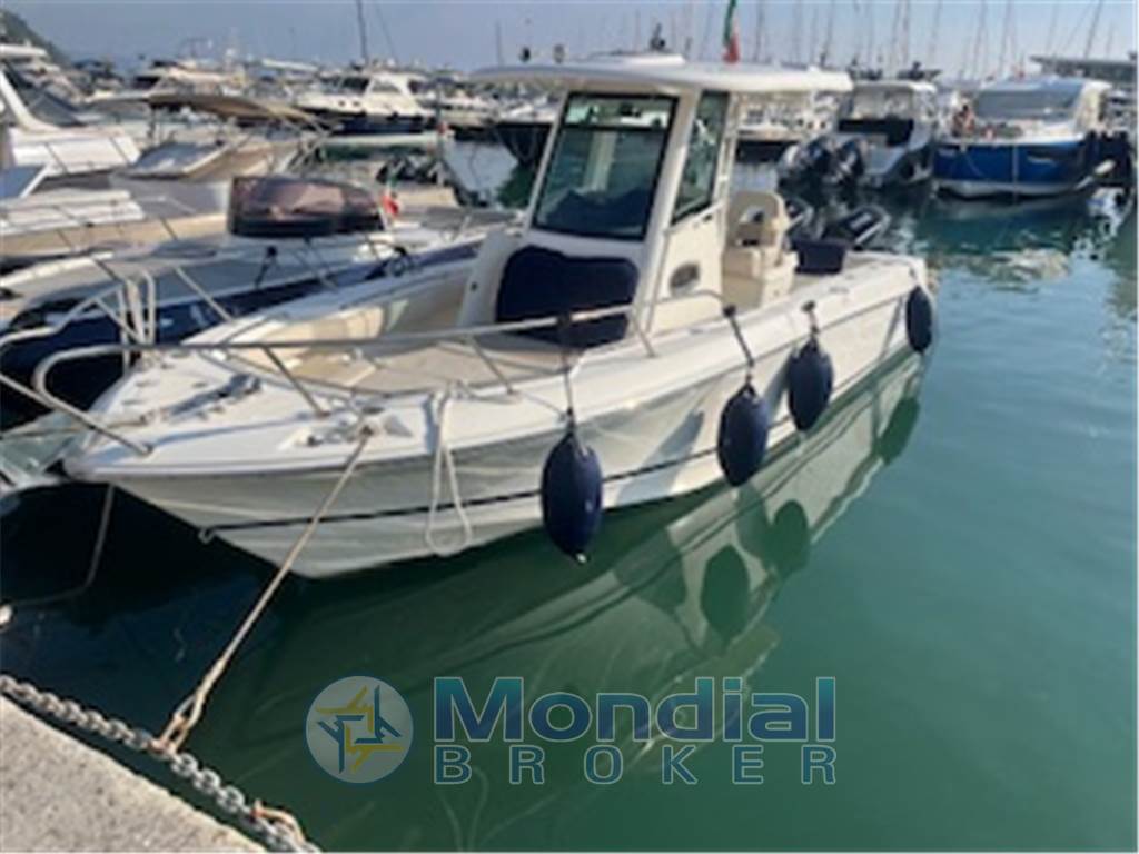 BOSTON WHALER 250 OUTRAGE