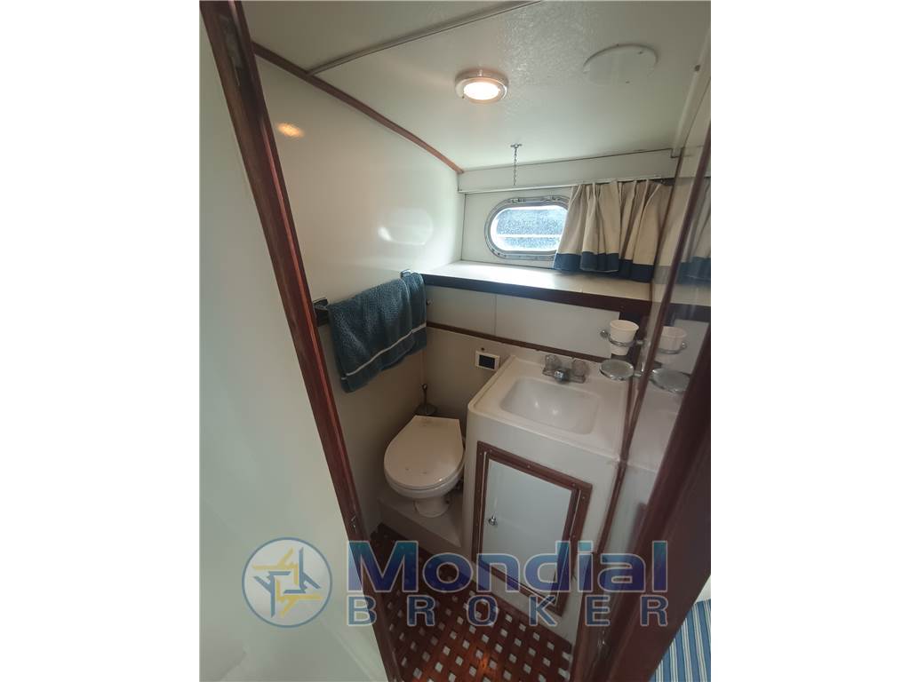 Magnum Marine 38