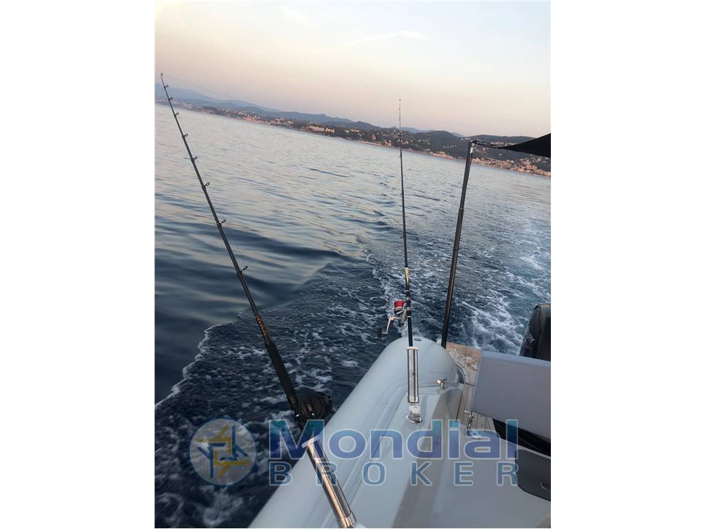 SACS Strider 800