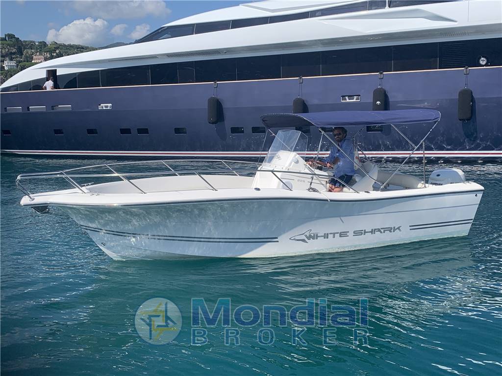 White Shark Kelt 226