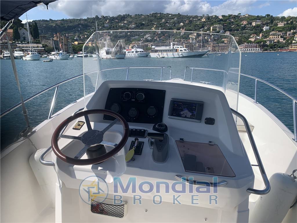 White Shark Kelt 226