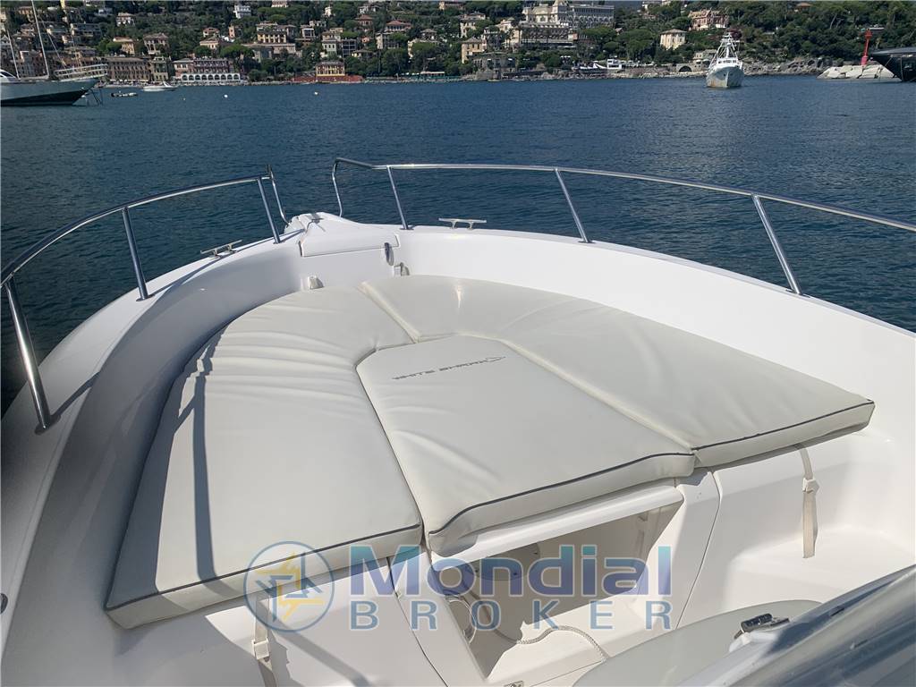 White Shark Kelt 226