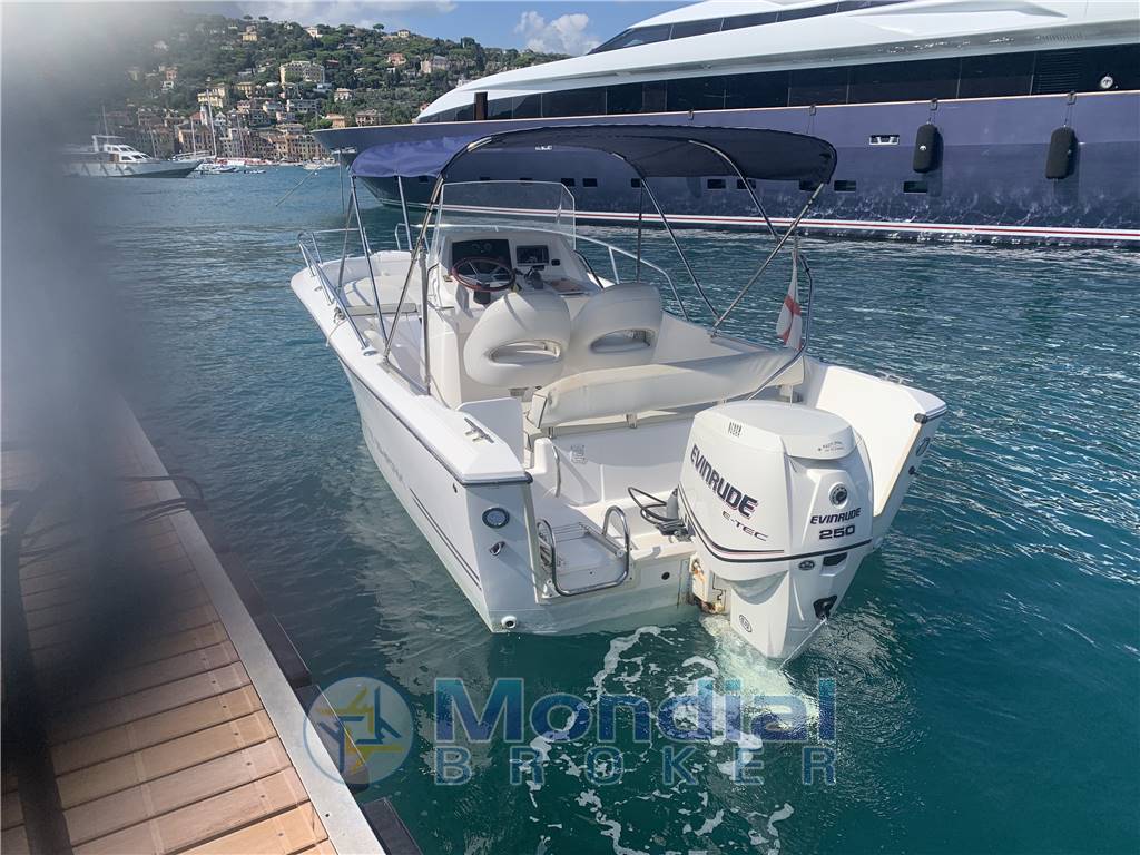 White Shark Kelt 226