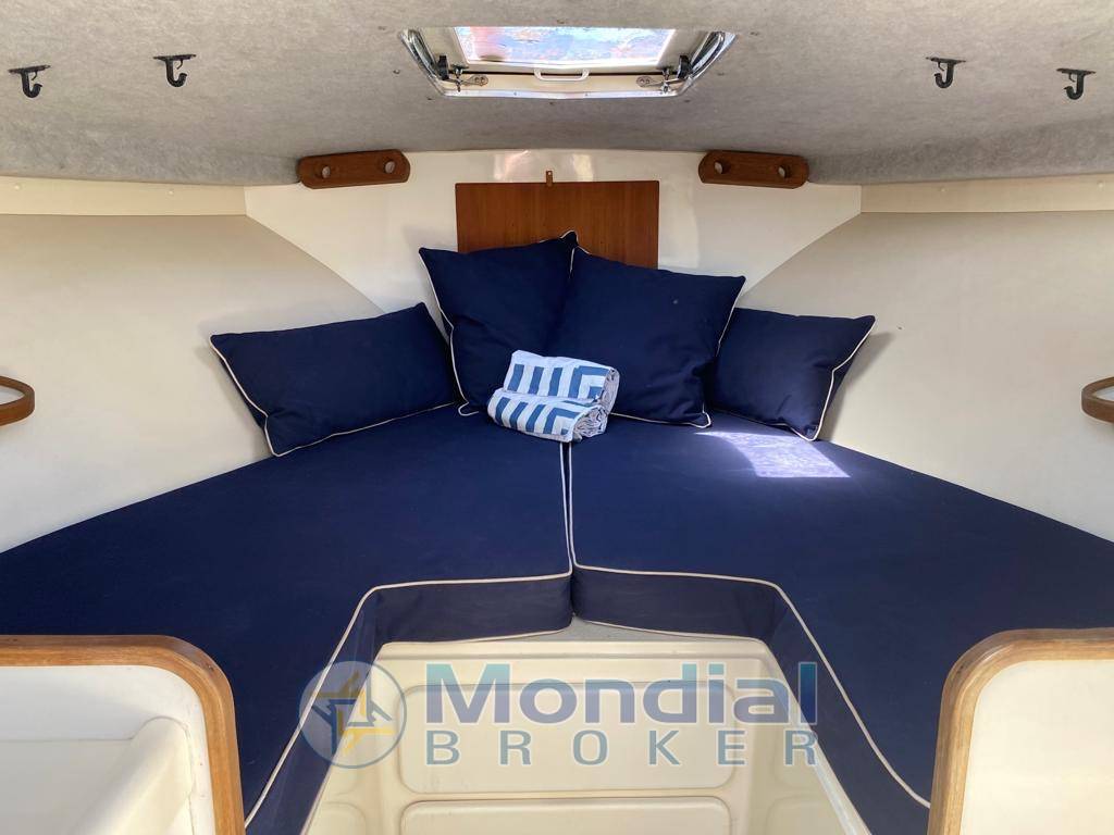 Bertram Yacht 28 Moppie