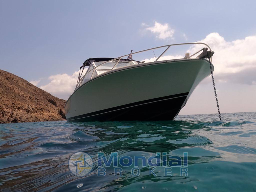 Bertram Yacht 28 Moppie