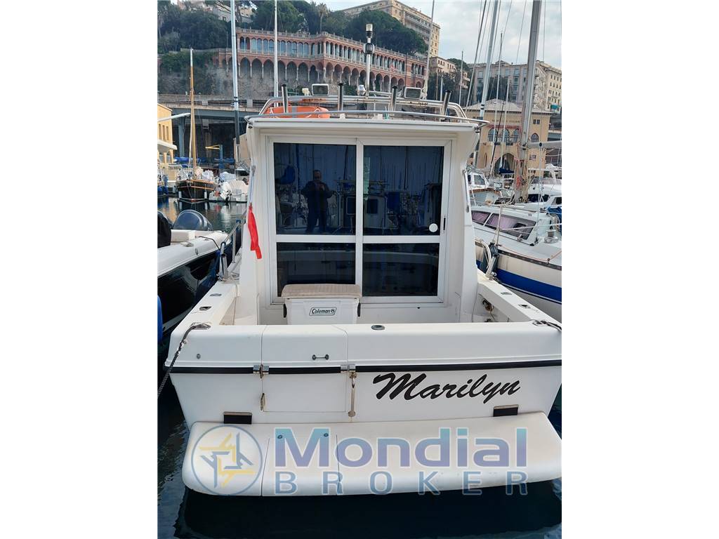 Plastik Plastik space 290 cruiser