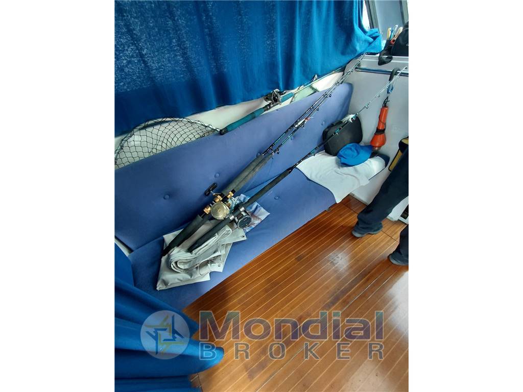 Plastik Plastik space 290 cruiser