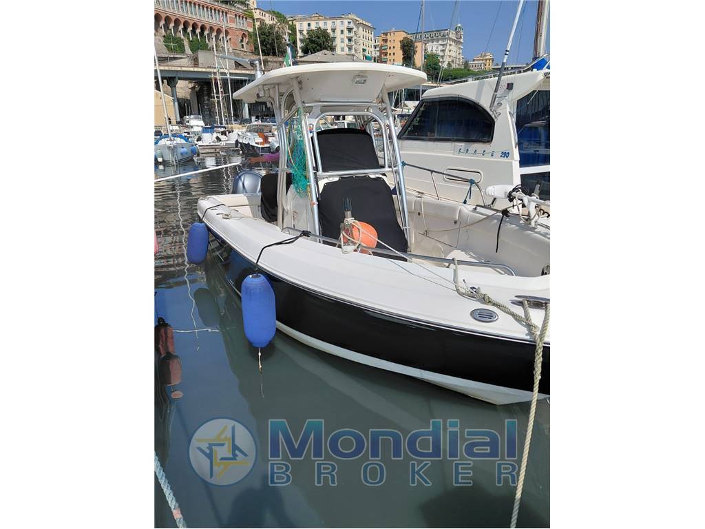 Robalo r260
