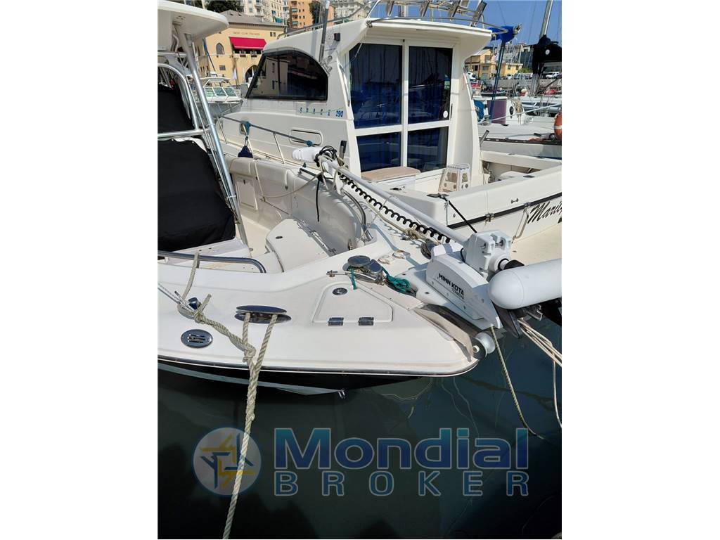 Robalo r260