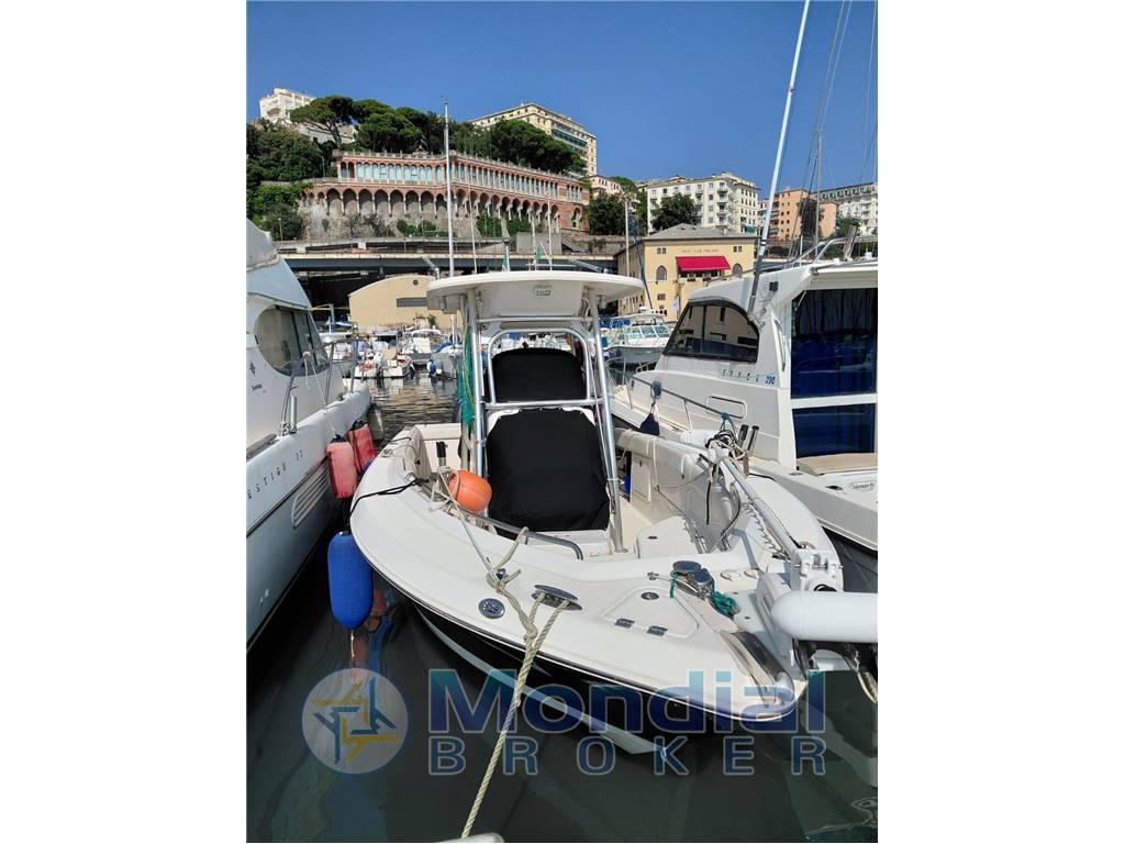 Robalo r260