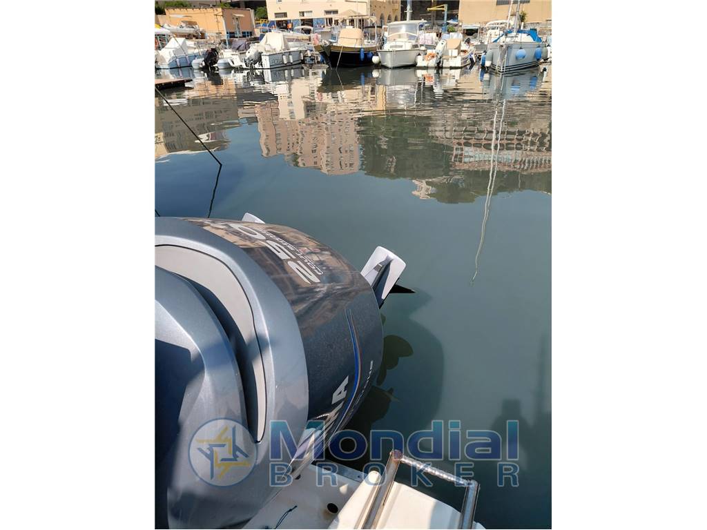 Robalo r260