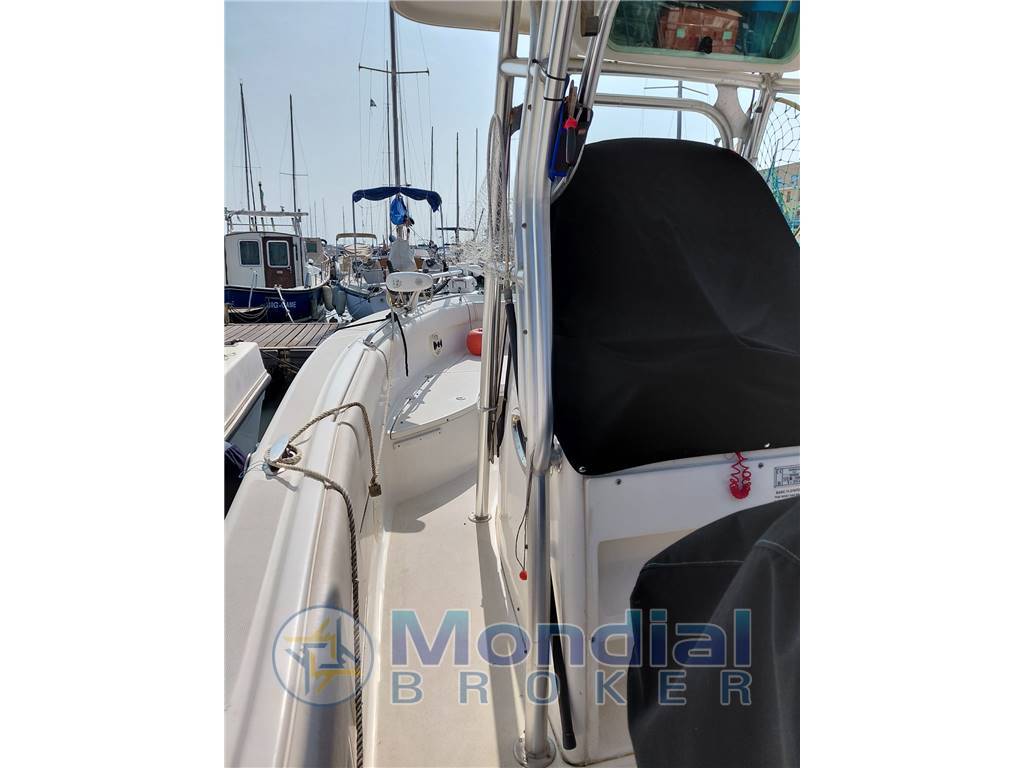 Robalo r260