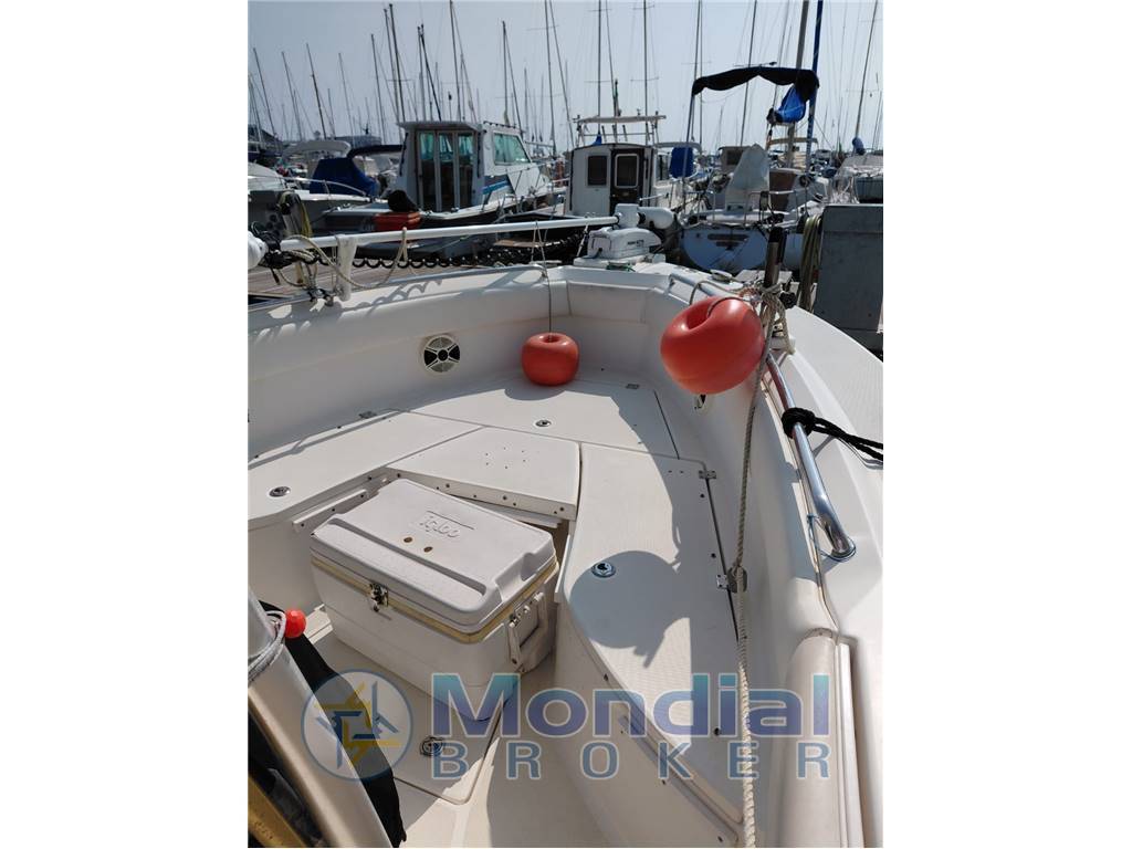 Robalo r260