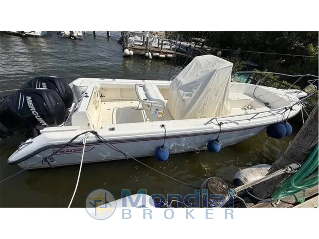 Boston Whaler Outrage 26