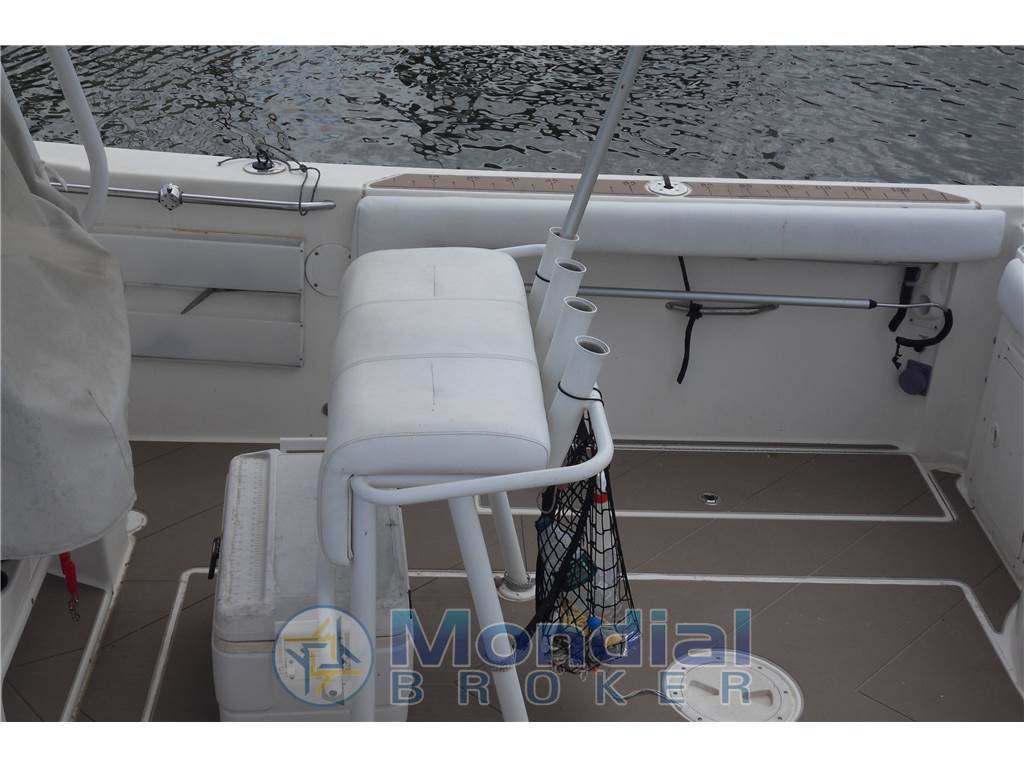 Striper 2605 cc