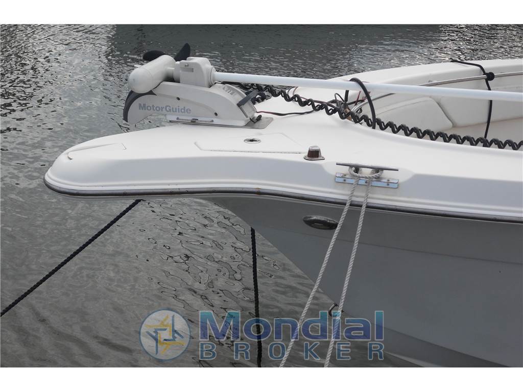 Striper 2605 cc