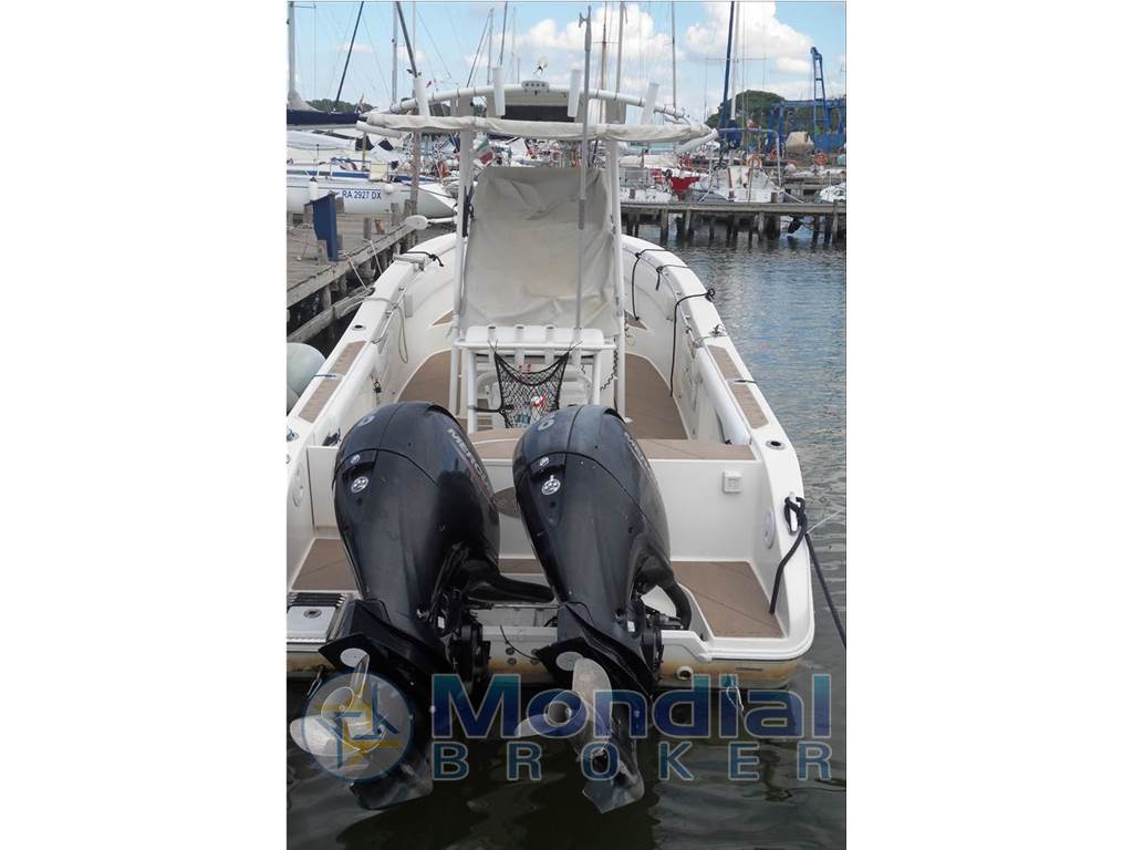 Striper 2605 cc