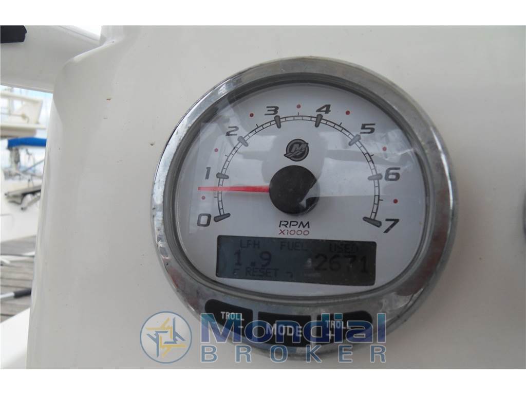 Striper 2605 cc