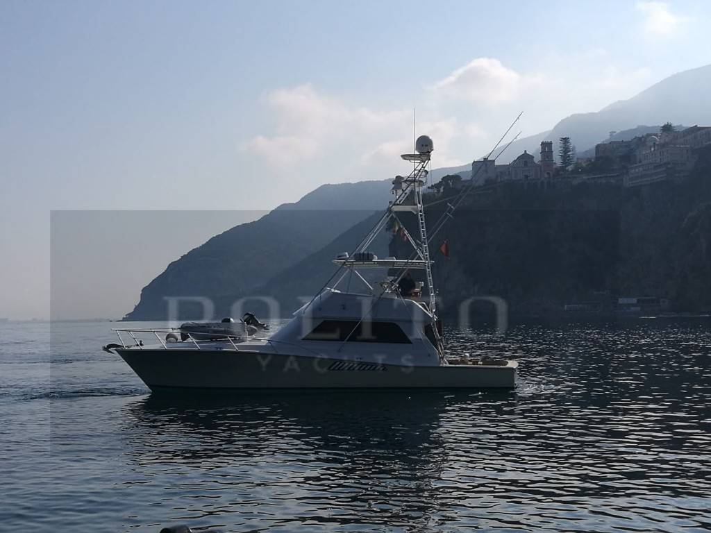 VIKING YACHT COMPANY VIKING 51