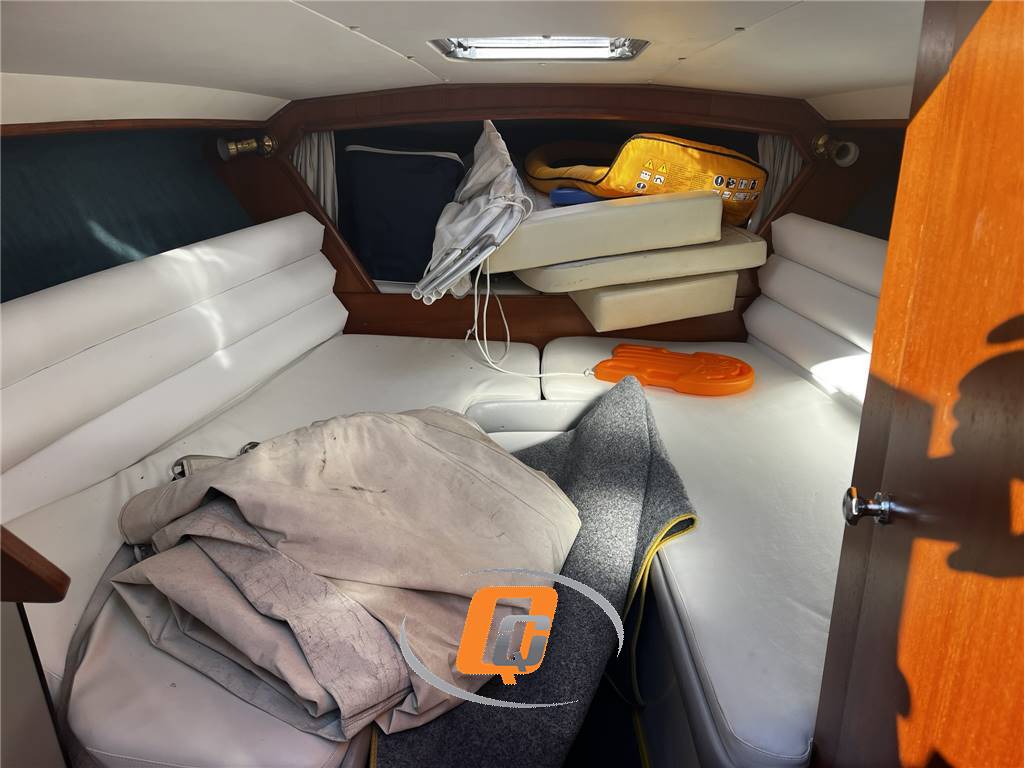 BRUNO ABBATE PRIMATIST 30