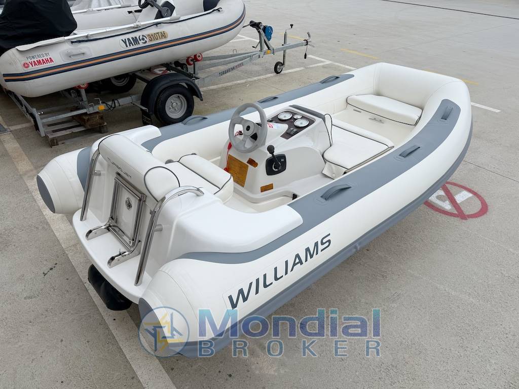 Williams Jet Tenders 325 Turbojet