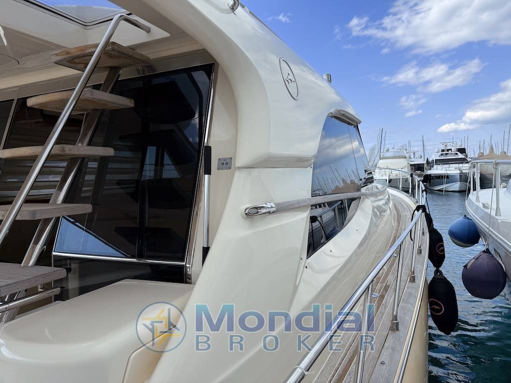 Mochi Craft 54 Dolphin