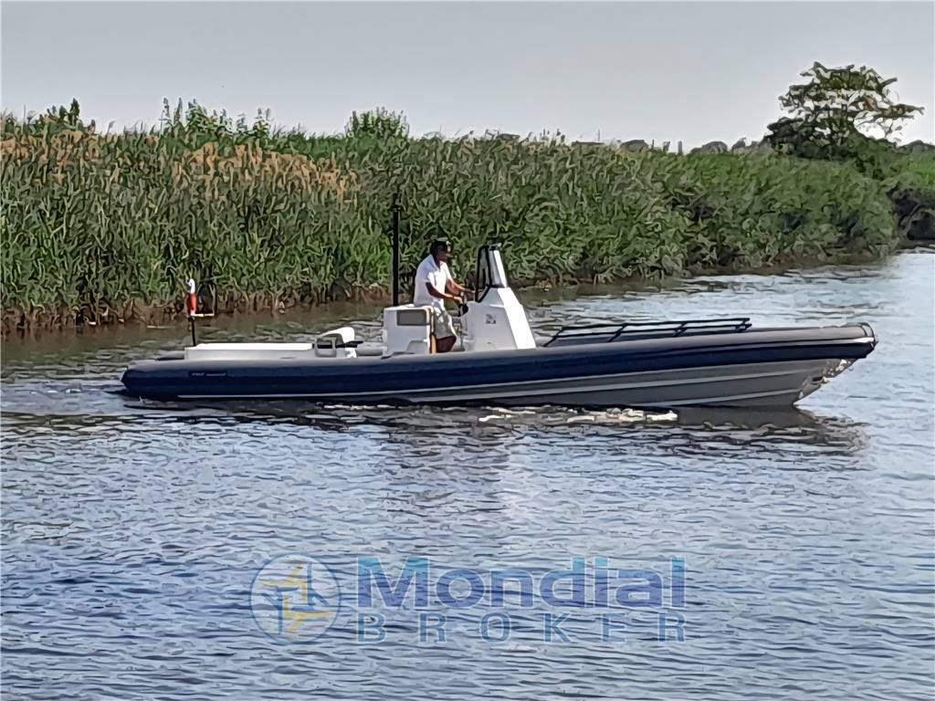 LEVI RIBS PMP 8punto5