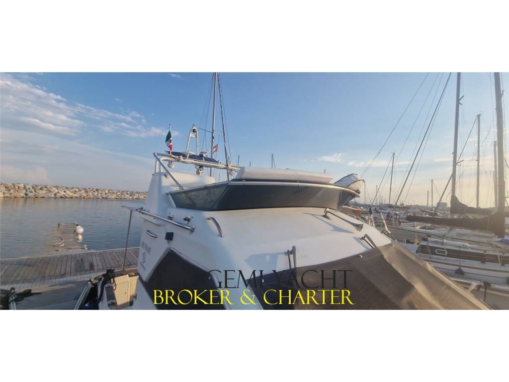 ARS MONACO ARS MARE RS 31 FLY