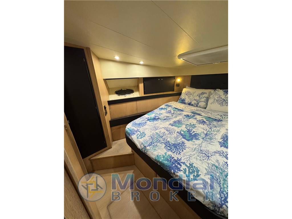 Della Pasqua DC 13 Elite