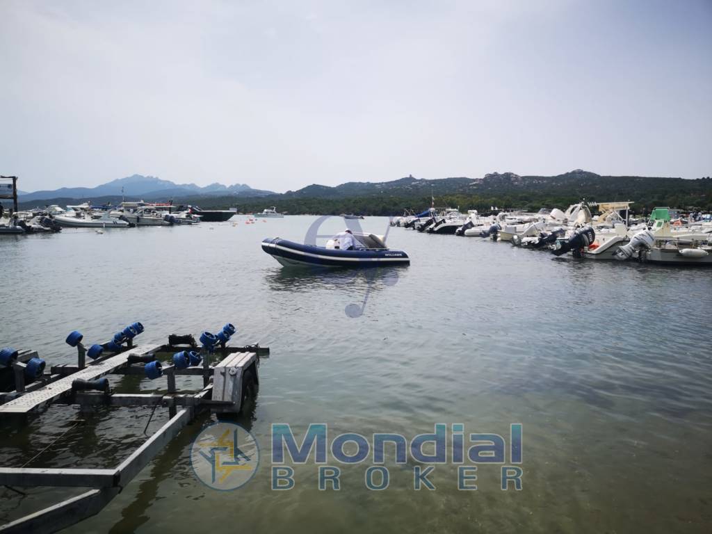 Williams Sport Jet 435