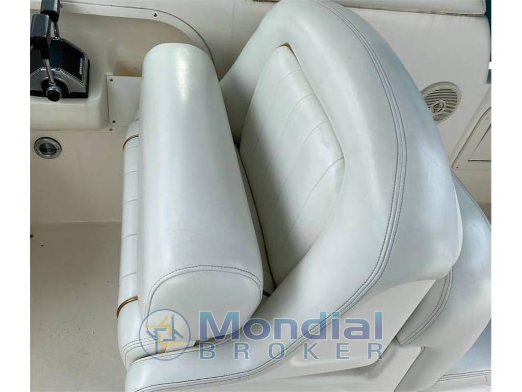Sea Ray Sea Ray Sundancer 290
