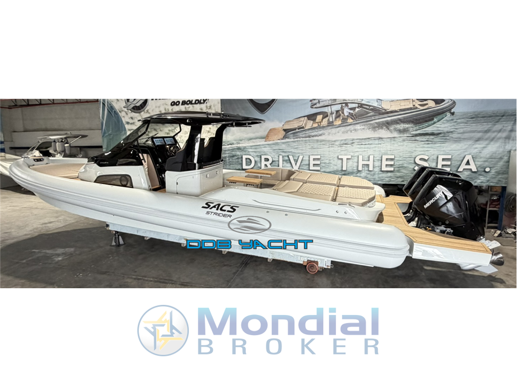 SACS STRIDER 13