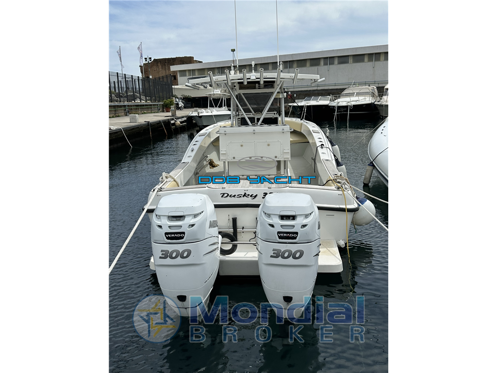 DUSKY 33