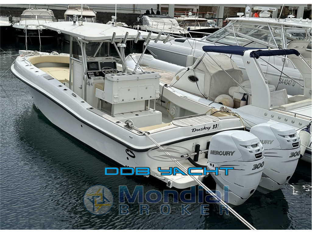 DUSKY 33