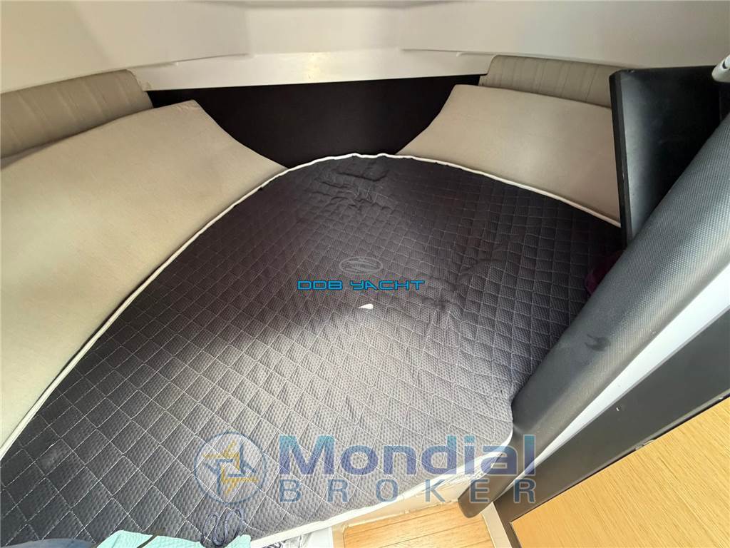 RANIERI CLF 25
