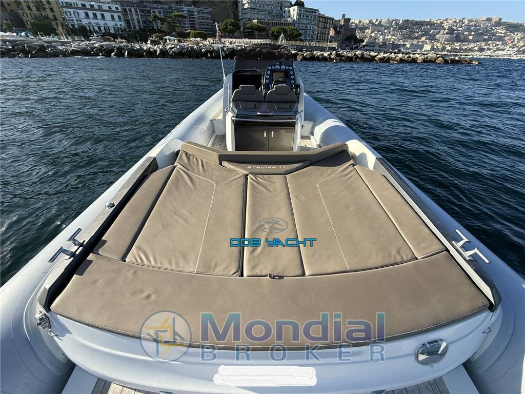 SACS STRIDER 11