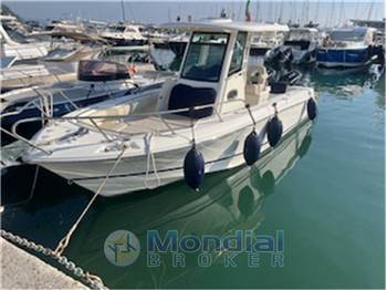 BOSTON WHALER - 250 OUTRAGE